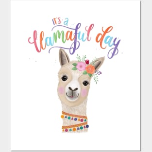 Llama lady Posters and Art